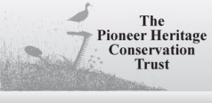 pioneer
